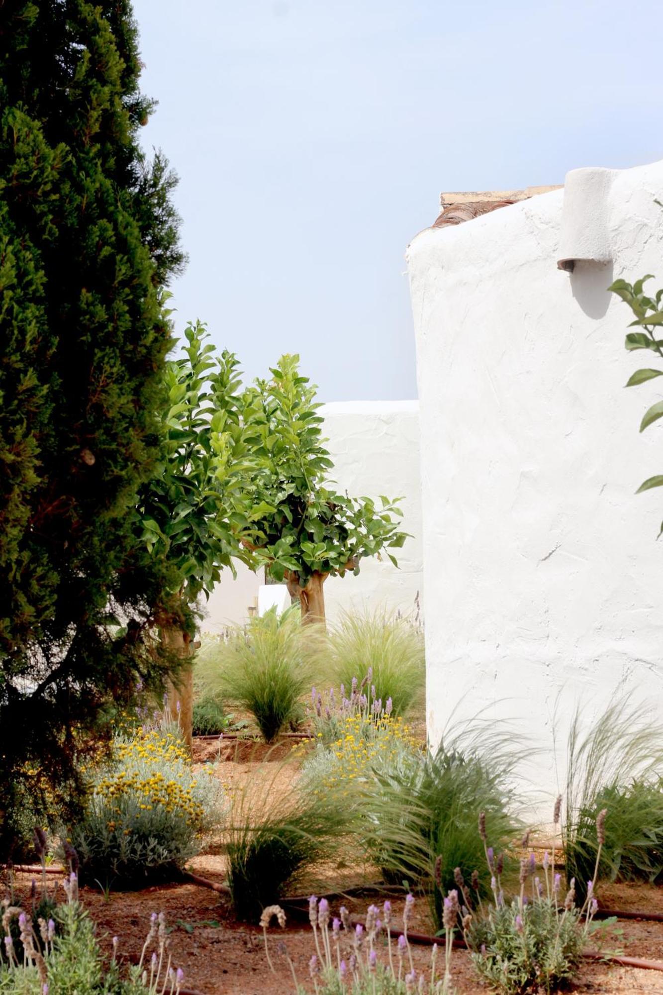 Aguamadera Villa Santa Eularia des Riu Exteriör bild